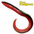 Fish Magnet Ugor 5.5