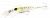 Воблер Jackall Soul Shad 58SR SP shirasu
