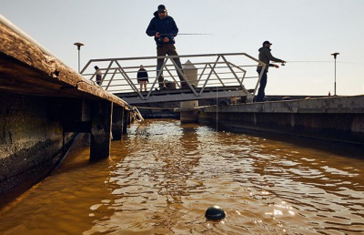 Беспроводной эхолот Deeper Smart Sonar CHIRP+