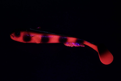 Силиконовая приманка Savage Gear LB 3D Goby Shad 23cm 96gr Red Bullhead UV/ 1 штука