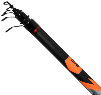 Болонская удочка с кольцами DAYO Thunder 10-30gr 5m