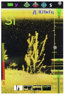 Структурный датчик Эховизор (для лодки) для Практик 8