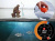 Эхолот Lowrance FishHunter PRO Эхолот Lowrance FishHunter PRO