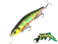 Strike Pro Inquisitor 110SP