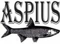 Aspius