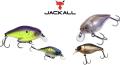Jackall Cherry One Footer 46