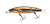 Воблер Jackall Tiny Magallon Ugui MR