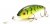Воблер Bomber Fat Free Shad BD7F SPT
