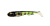 Силиконовая приманка Savage Gear 3D Goby Shad 20cm 60gr GLD PERCH / 1 штука